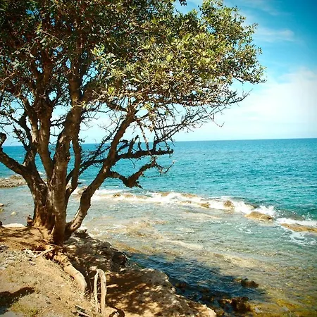 Andromeda & Aparthotel Limenas Chersonisou