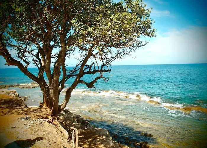 Andromeda & Lägenhetshotell Hersonissos (Crete)