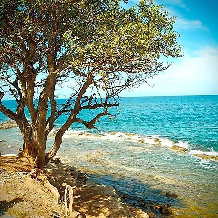 Andromeda & Studios 3* Hersonissos (Crete)
