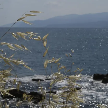 Lejlighedshotel Andromeda &
