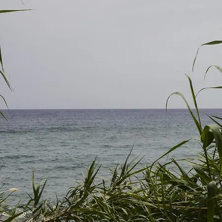 Andromeda Apartments&studios Hersonissos (Crete)