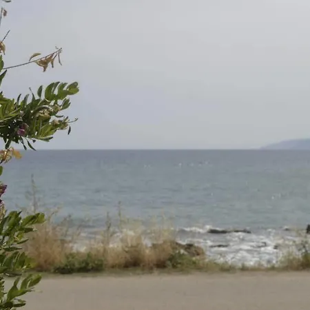 Andromeda Apartments&studios 3* Hersonissos (Crete)